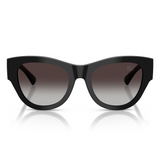 Burberry Womens 4491 Sunglasses In Black