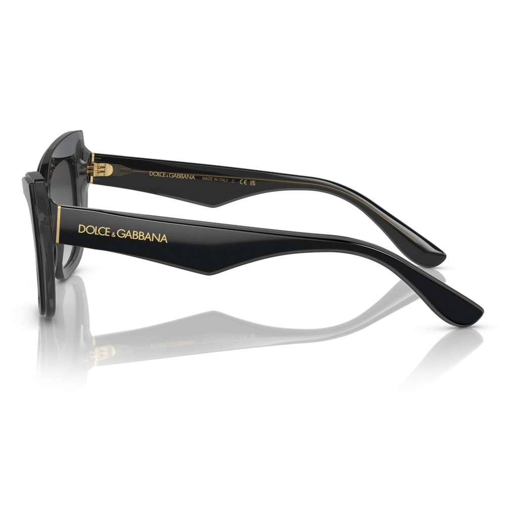 Dolce & Gabbana Womens Cat-eye Frame Sunglasses In Black