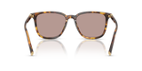 Miu Miu Womens Sunglasses In Honey Havana
