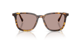 Miu Miu Womens Sunglasses In Honey Havana