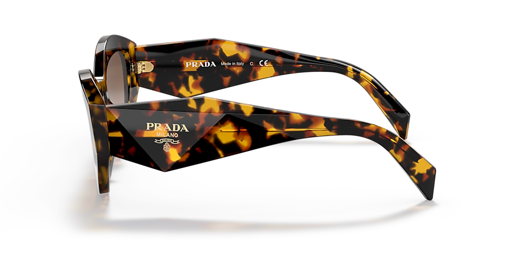 Prada Womens Sunglasses In Havana