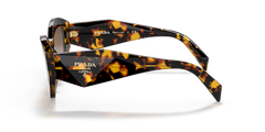 Prada Womens Sunglasses In Havana