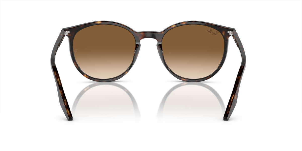 Ray-Ban Unisex Adults Sunglasses In Brown