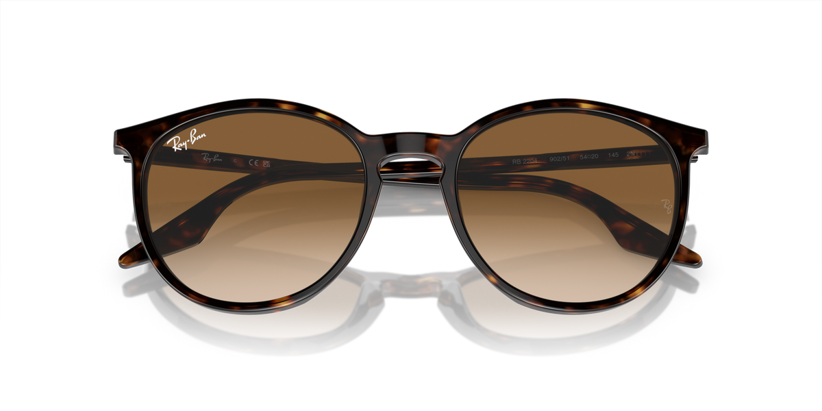 Ray-Ban Unisex Adults Sunglasses In Brown