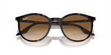 Ray-Ban Unisex Adults Sunglasses In Brown