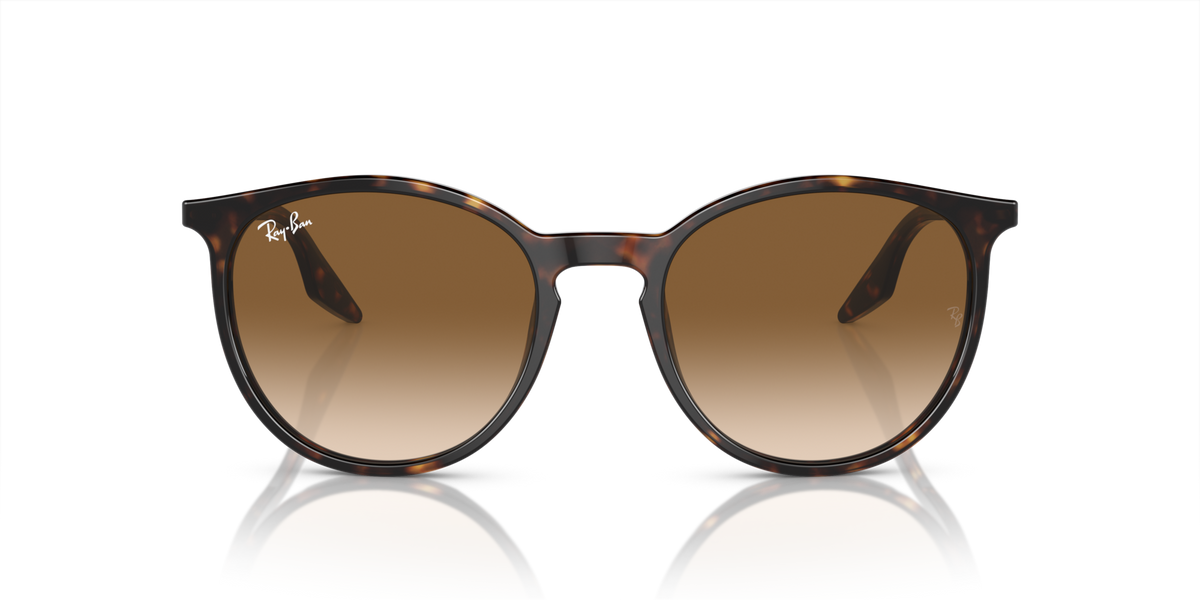Ray-Ban Unisex Adults Sunglasses In Brown