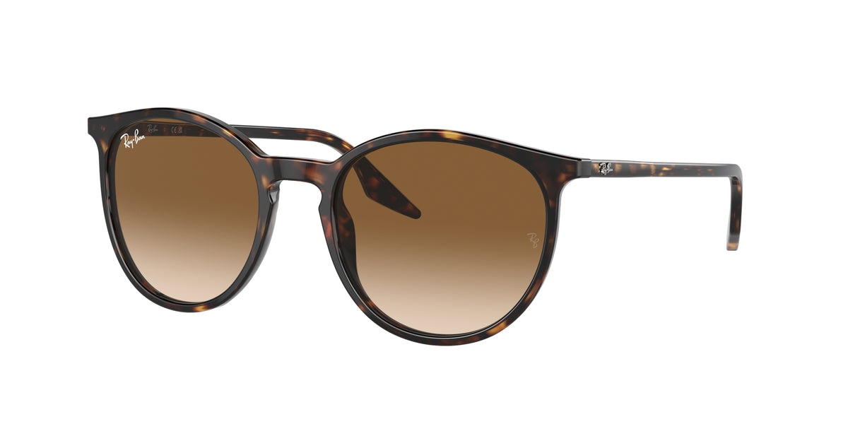 Ray-Ban Unisex Adults Sunglasses In Brown