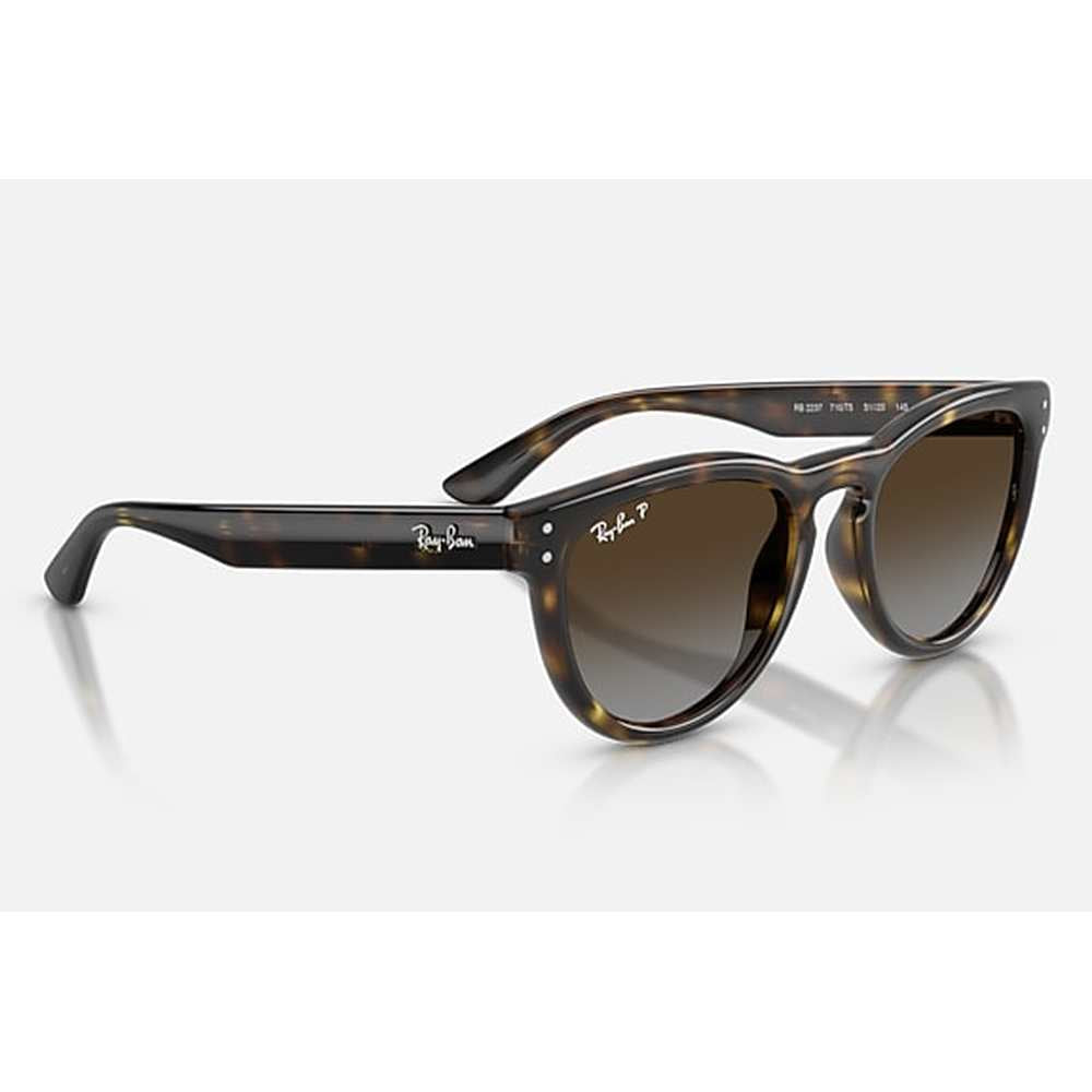 Ray-Ban Womens Sunglaases In Black Havana/Light Grey Brown