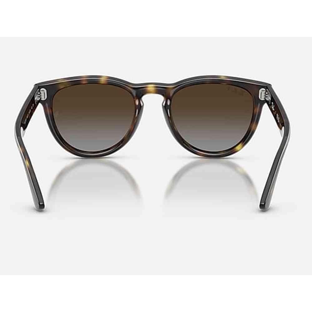 Ray-Ban Womens Sunglaases In Black Havana/Light Grey Brown