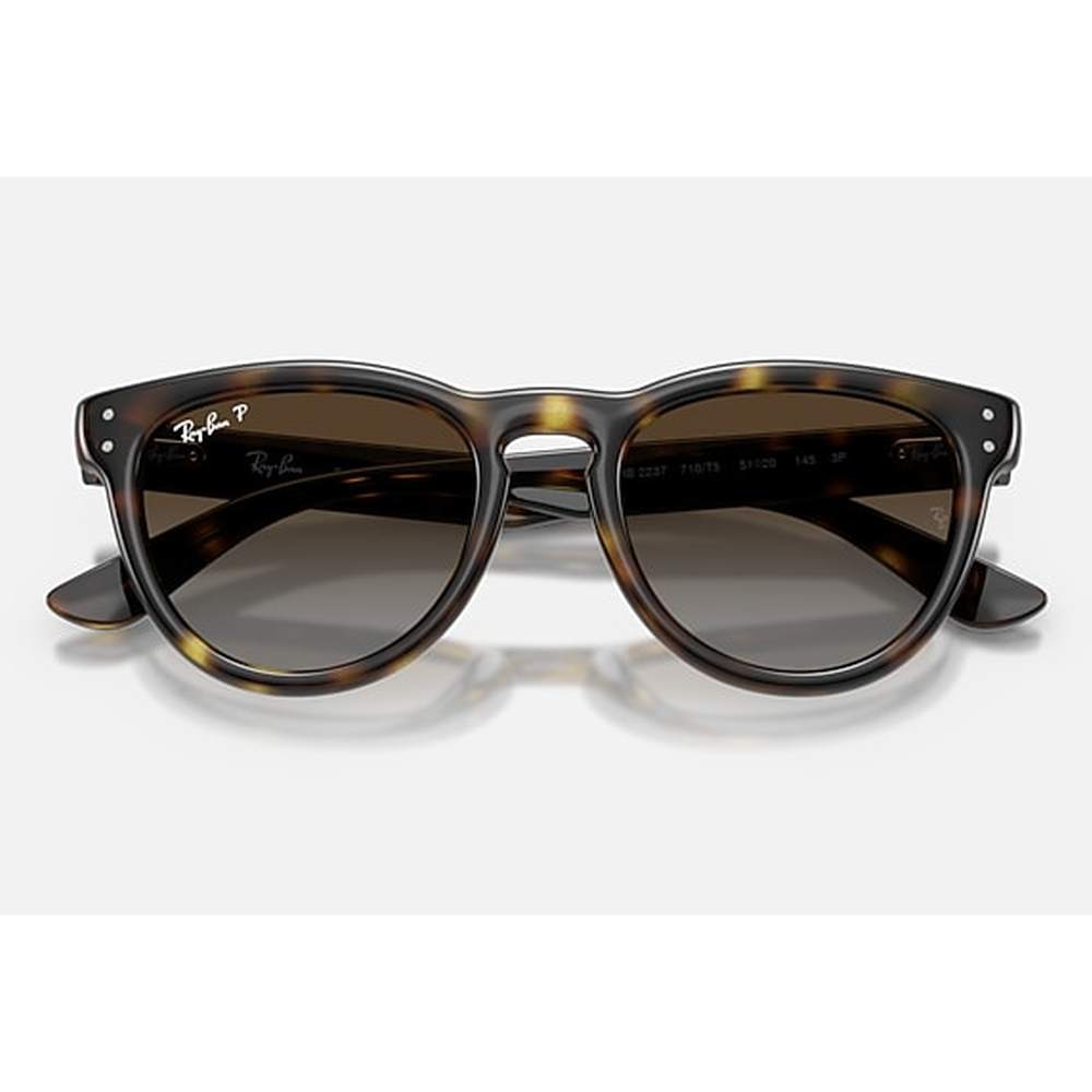 Ray-Ban Womens Sunglaases In Black Havana/Light Grey Brown