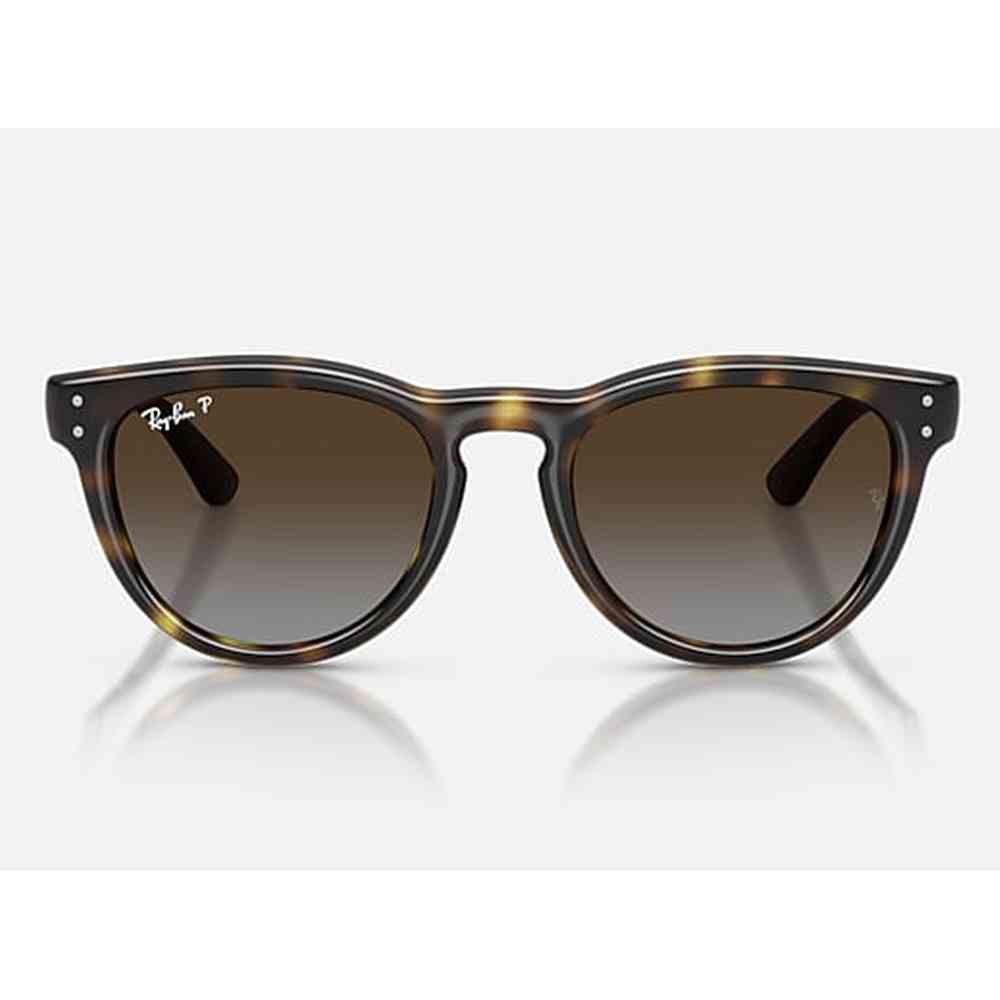 Ray-Ban Womens Sunglaases In Black Havana/Light Grey Brown