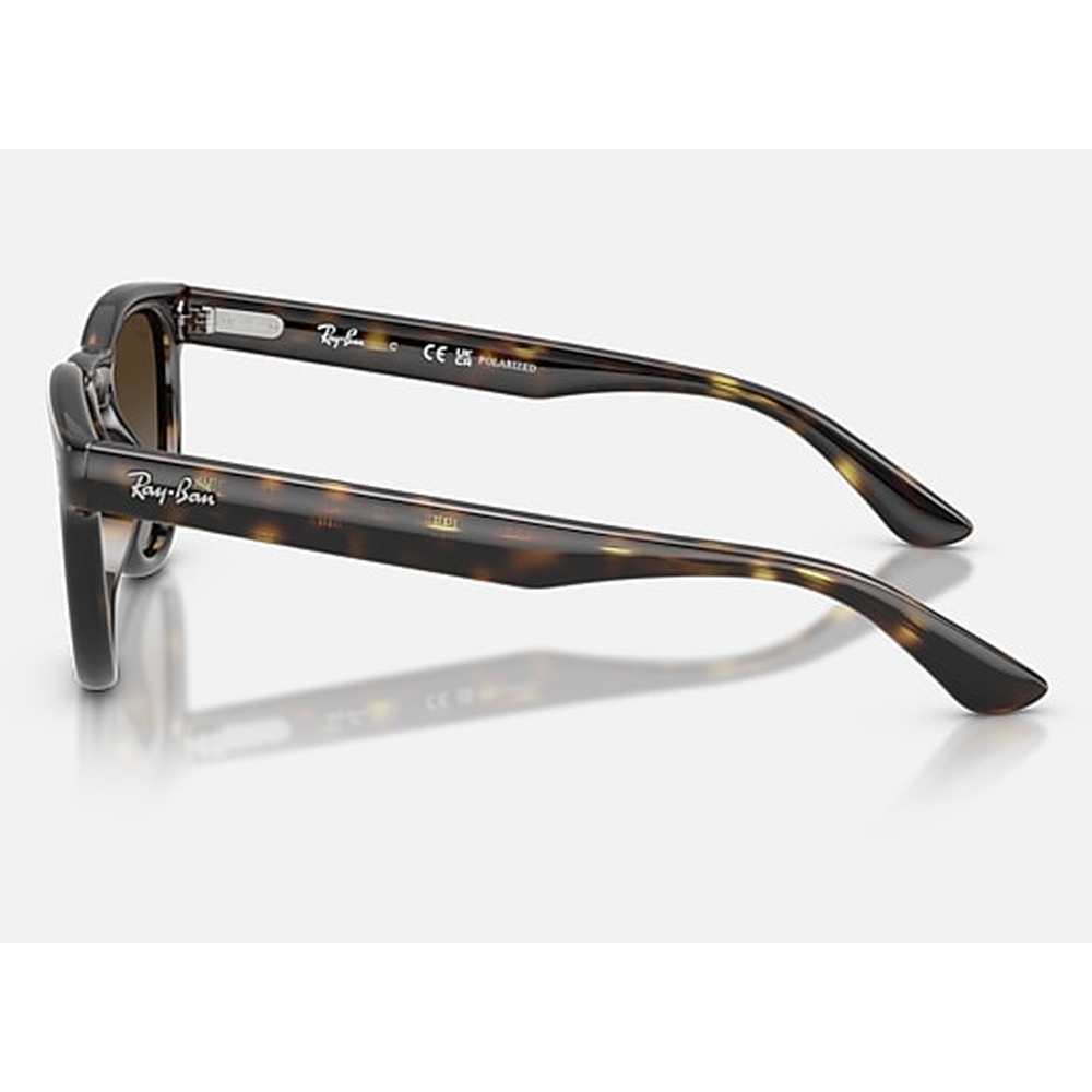 Ray-Ban Womens Sunglaases In Black Havana/Light Grey Brown
