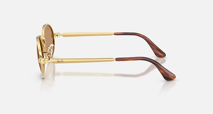 Ray-Ban Asap Rocky Unisex Sunglasses In Gold