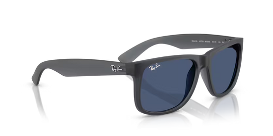 Ray Mens Justin Sunglasses In Matte Black