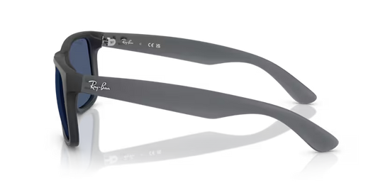 Ray Mens Justin Sunglasses In Matte Black