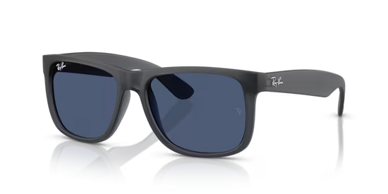 Ray Mens Justin Sunglasses In Matte Black