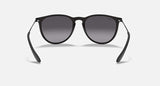 Ray-Ban Unisex Erika Sunglasses In Matte Black