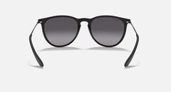 Ray-Ban Unisex Erika Sunglasses In Matte Black