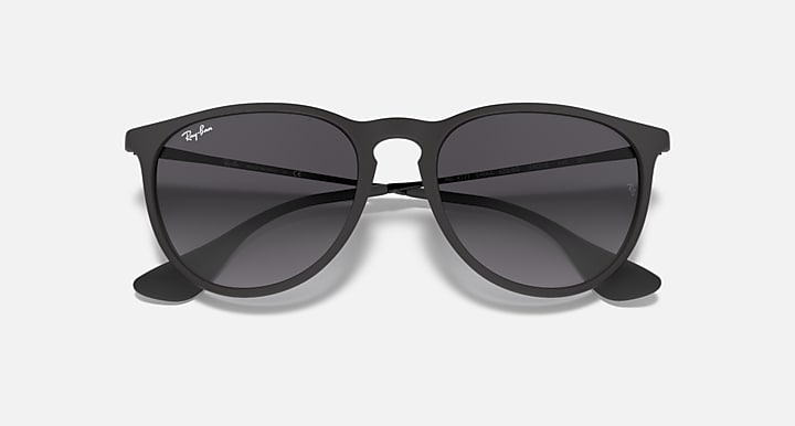 Ray-Ban Unisex Erika Sunglasses In Matte Black