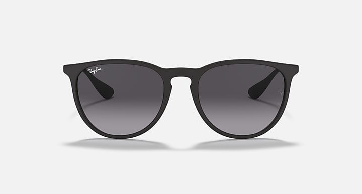 Ray-Ban Unisex Erika Sunglasses In Matte Black