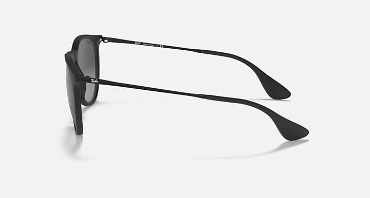 Ray-Ban Unisex Erika Sunglasses In Matte Black