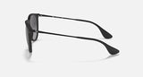 Ray-Ban Unisex Erika Sunglasses In Matte Black