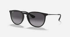 Ray-Ban Unisex Erika Sunglasses In Matte Black