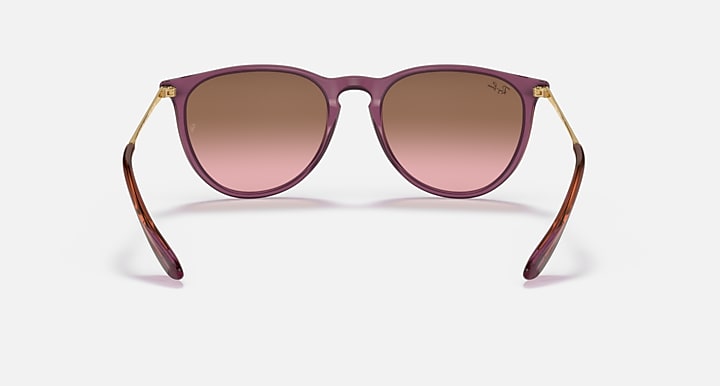 Ray-Ban Womens Erika Sunglasses In Purple