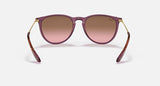 Ray-Ban Womens Erika Sunglasses In Purple