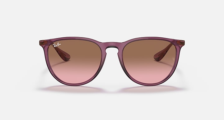 Ray-Ban Womens Erika Sunglasses In Purple