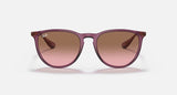 Ray-Ban Womens Erika Sunglasses In Purple