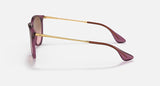 Ray-Ban Womens Erika Sunglasses In Purple