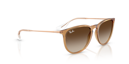 Ray-Ban Womens Erika Sunglasses In Rubber Beige