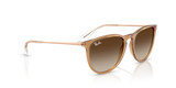Ray-Ban Womens Erika Sunglasses In Rubber Beige
