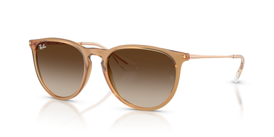 Ray-Ban Womens Erika Sunglasses In Rubber Beige