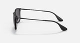 Ray-Ban Unisex Chris Sunglasses In Black