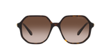 Swarovski Womens Alensa Geometric Sunglasses In Havana Brown