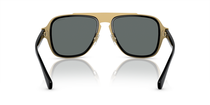 Versace Mens Polarized Round Sunglasses In Black/Gold