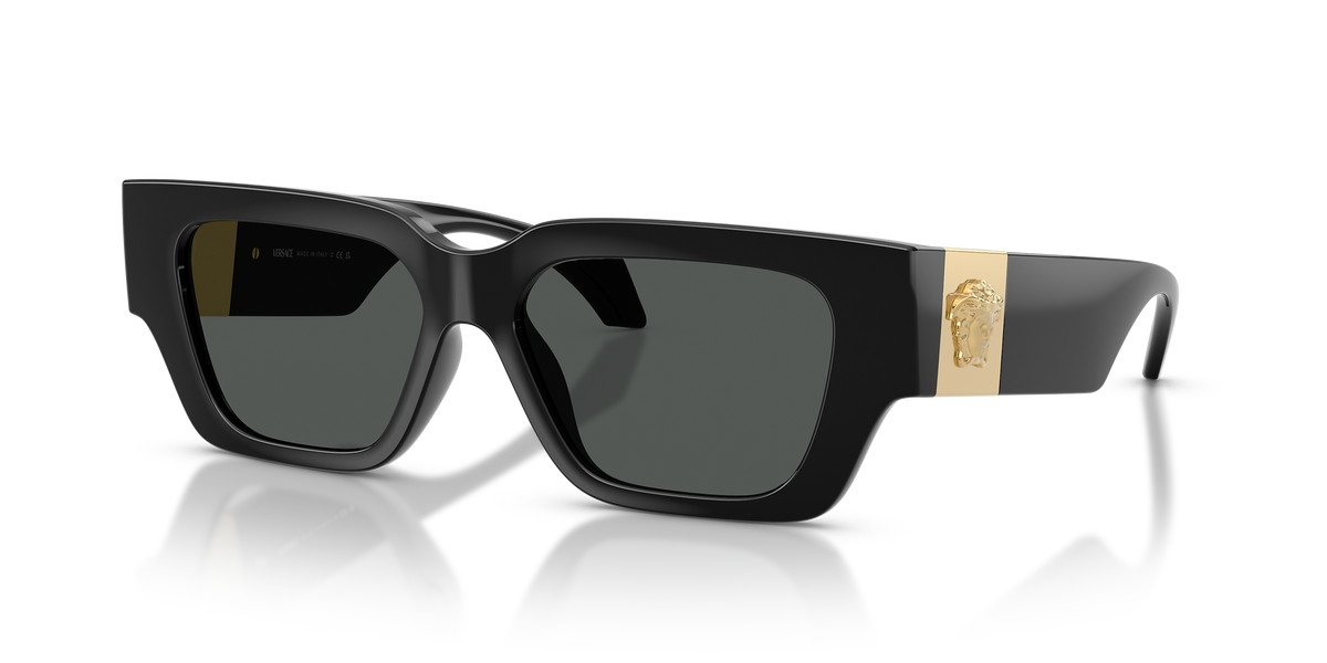 Versace Unisex Sunglasses In Black and Gold