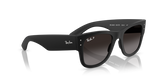 Ray-Ban Unisex Mega Wayfarer Sunglasses In Black