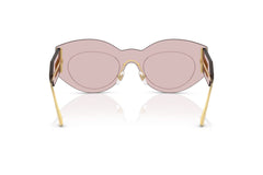 Versace Pink Transparent Sunglasses VE2276