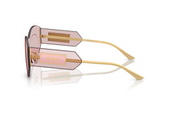 Versace Pink Transparent Sunglasses VE2276