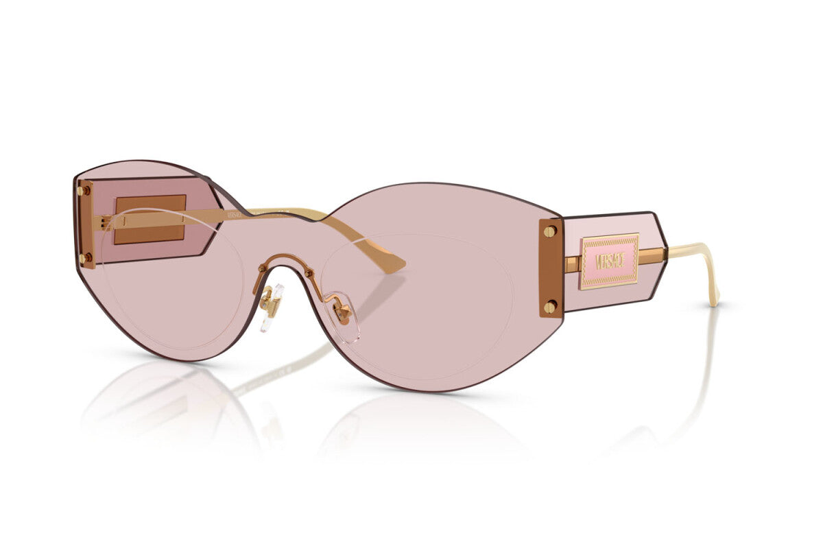 Versace Pink Transparent Sunglasses VE2276