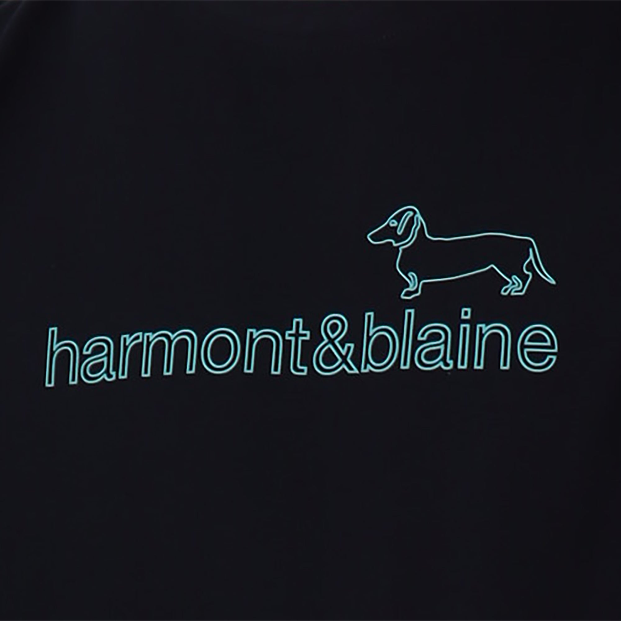 Harmont & Blaine Irn231021055 T-Shirt Navy