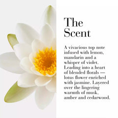 Elizabeth Arden My 5Th Avenue Body Lotion