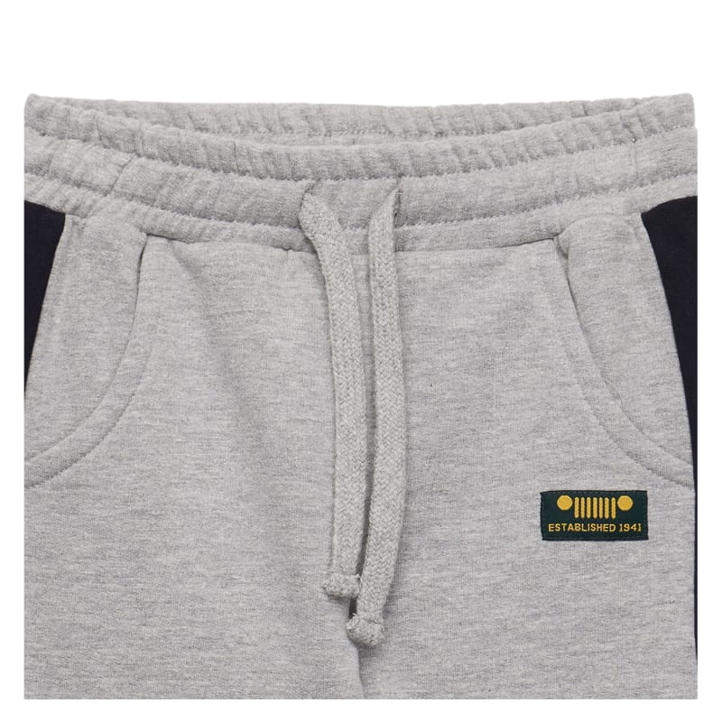 Jeep Kids Colorblock Fleece Jogger Pants In Grey
