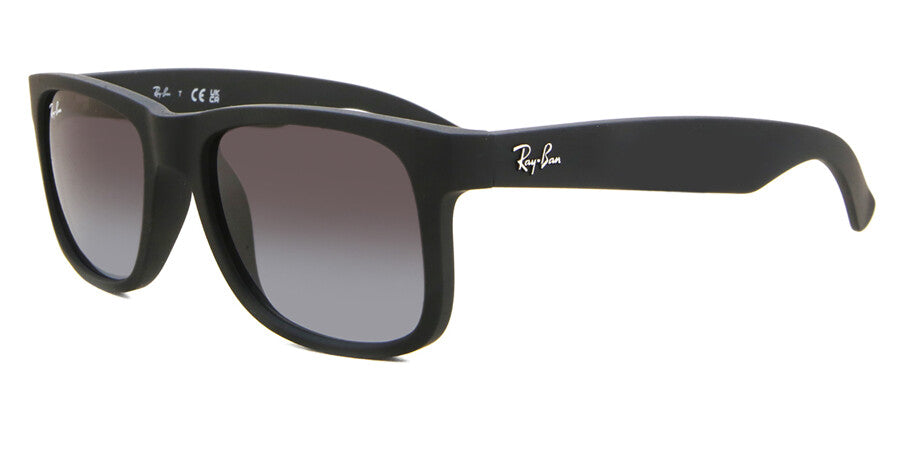 Ray-Ban Unisex Justine Classic Sunglasses In Black