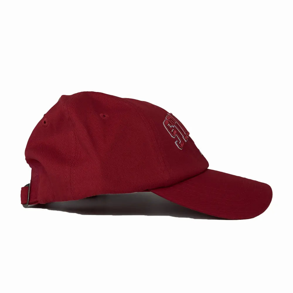 Starter Mens Baseball Curve Cap in Maroon