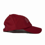 Starter Mens Baseball Curve Cap in Maroon