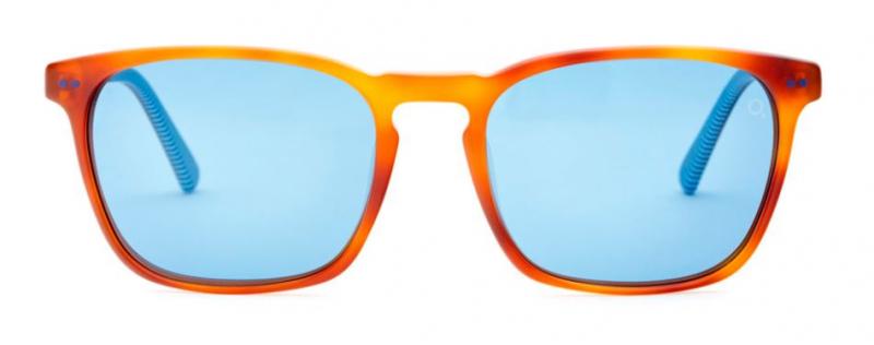 Etnia Barcelona Kitsilano Sunglasses In Tortoise